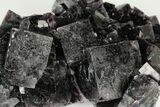 Purple Cubic Fluorite Cluster - Okorusu Mine, Namibia #191983-2